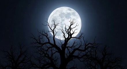 Dramatic moonlight scene with silhouetted trees against a dark and mysterious sky