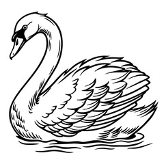 Vector illustration of swan isolated on white background.Black and White