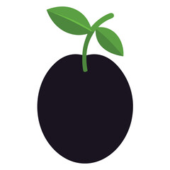  Black Plum icon