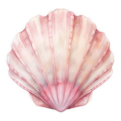 Fototapeta premium Watercolor illustration of a beautiful pink scallop seashell with delicate ribbed texture isolated on transparent background