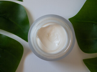 Cosmetic cream and green leaf