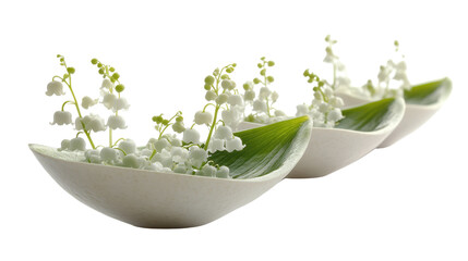 Fresh lily flowers  isolated on a natural background.