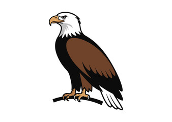 Fototapeta premium Bald Eagle Vector Illustration, Bald Eagle Icon