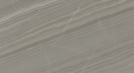 Fototapeta premium Polished Gray Marble with Flowing Dark Veins - Close-Up