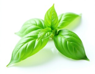 Close-up of two green leaves on a white background
