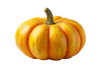 Bright orange pumpkin with green stem and subtle stripes isolated on a transparent background gourd squash