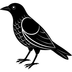 Conceptual Vector Design of Bowerbird 1