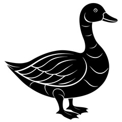 Conceptual Vector Design of Duck 1