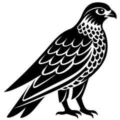 Conceptual Vector Design of Falcon