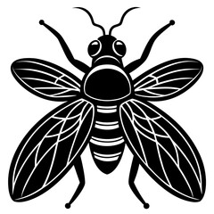 Conceptual Vector Design of Fly