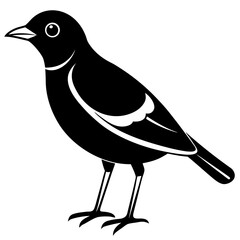 Conceptual Vector Design of Mynah