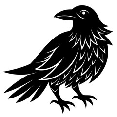 Conceptual Vector Design of Raven