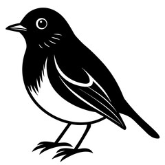 Conceptual Vector Design of Robin 1