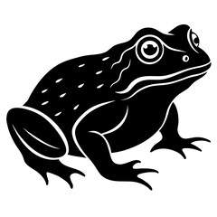 Conceptual Vector Design of Toad