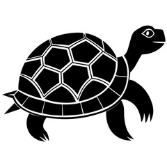 Conceptual Vector Design of Tortoise