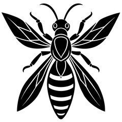 Conceptual Vector Design of Wasp