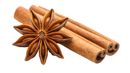 star anise and cinnamon sticks flying in the air on white background or transparent background
