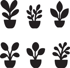 A set of potted houseplants with green leaves and flowers, an illustration of natural garden growth