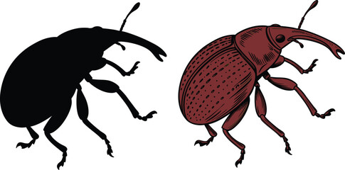 vector illustration of a cockroach