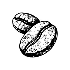 Close-up of two coffee beans, hand-drawn in black and white