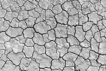 Cracked and dry soil background,Texture of the dried earth with clay and sand, close-up.