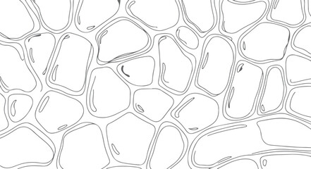 CAD Drawings. Stone wall pattern for landscape, outdoor and park, etc.