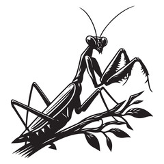 Praying mantis perched on a branch, image vector isolated on white background
