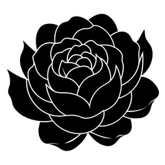 Obraz premium vector illustration of a rose