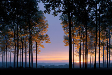 Golden sunrise illuminating forest landscape through trees