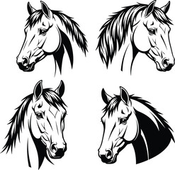 Detailed horse head illustration, black and white sketch, equestrian tattoo design, vector art, animal drawing, graphic project, elegant mane, fine line 