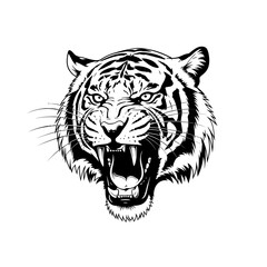 Roaring tiger head isolated on white background, vector illustration