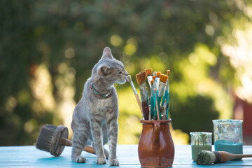 Cat and paint brushes. Concept of design and repair