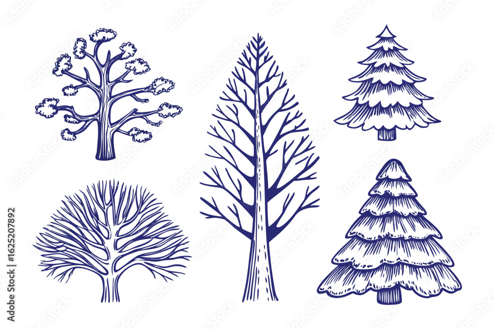 Poster diverse tree collection: a collection of different tree illustrations, each tree showcasing unique c