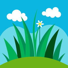 Obraz premium Bright sunny day with green grass and a single daisy