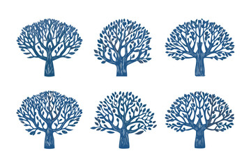 Tree illustrations: Set of six intricate illustrations of trees, each showcasing unique branching patterns and leafy details. A display of nature's beauty and diversity.