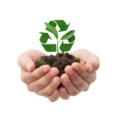 Hands Protecting a Young Green Plant Sprouting from Soil Symbolizing Care for Nature and Environmental Sustainability Concepts