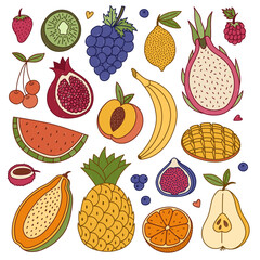 Big colourful doodle set with summertime fruits and berries. Hand drawn outline tropical, exotic, farming sweet food for print, social media, packaging, restaurant menu. Grape, peach, pear, mango.