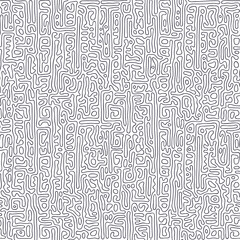 Fototapeta premium Black and white thin lines, seamless Turing pattern. Hand drawn vector illustration