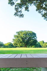 背景素材　屋外、早朝の公園、テーブル、夏