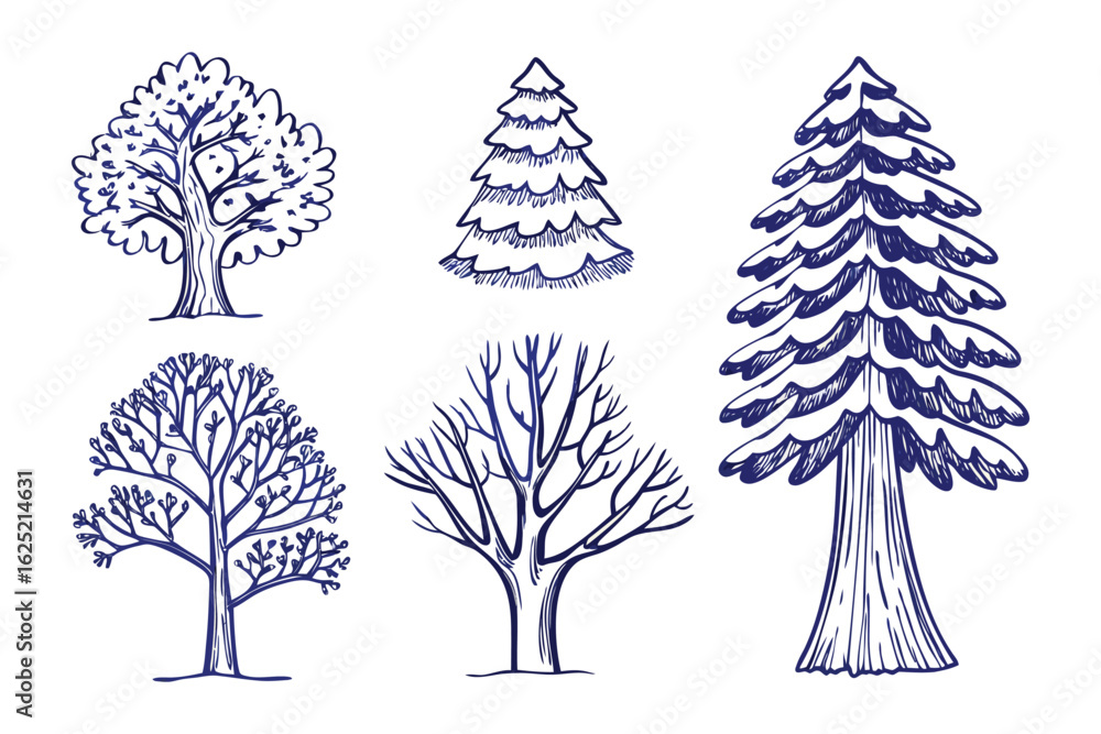 Poster tree sketches: hand-drawn illustrations of trees in various forms, capturing their unique shapes and