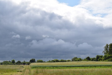 Scenic rural landscapes with meadows, fields, and dramatic skies. Natural countryside views of agriculture, forests, and changing weather