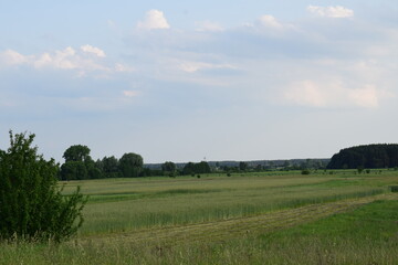 Scenic rural landscapes with meadows, fields, and dramatic skies. Natural countryside views of agriculture, forests, and changing weather