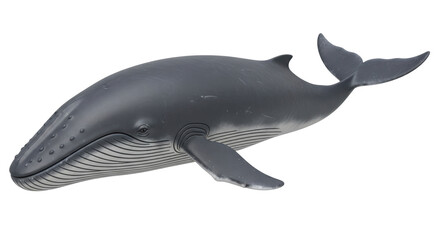 Isolated Blue Whale