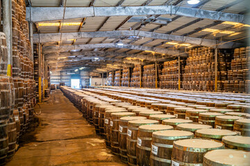 wood barrels in warehouse