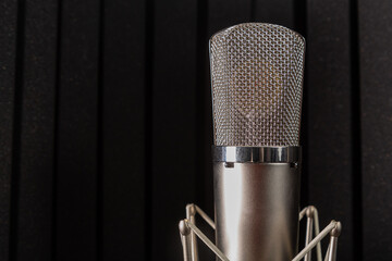 Silver studio microphone with a holder