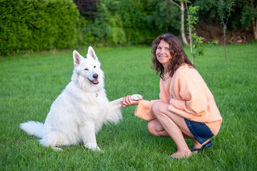 Woman with curly hair wearing a cozy sweater is playfully interacting with a large white dog in a...