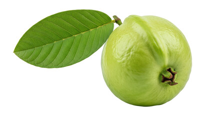 Isolated Fresh Green Guava with Leaf