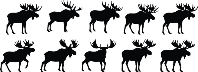 Moose Silhouettes Collection, Black Vector Icons, Wildlife Animal Graphics, Antler Variations, Standing and Walking Poses, Adobe Stock Illustration, Forest Creature Art