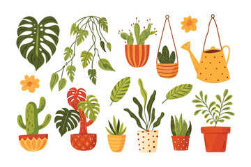 Vibrant Home Garden Collection: A curated assortment of thriving indoor plants showcases a variety of lush, lively foliage. This collection captures the essence of home decor.