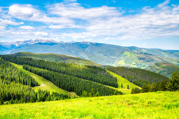 Dramatic lush green summer landscape at Vail, Colorado Grand Escape hiking trail with Gore range pine forest woods at ski slopes